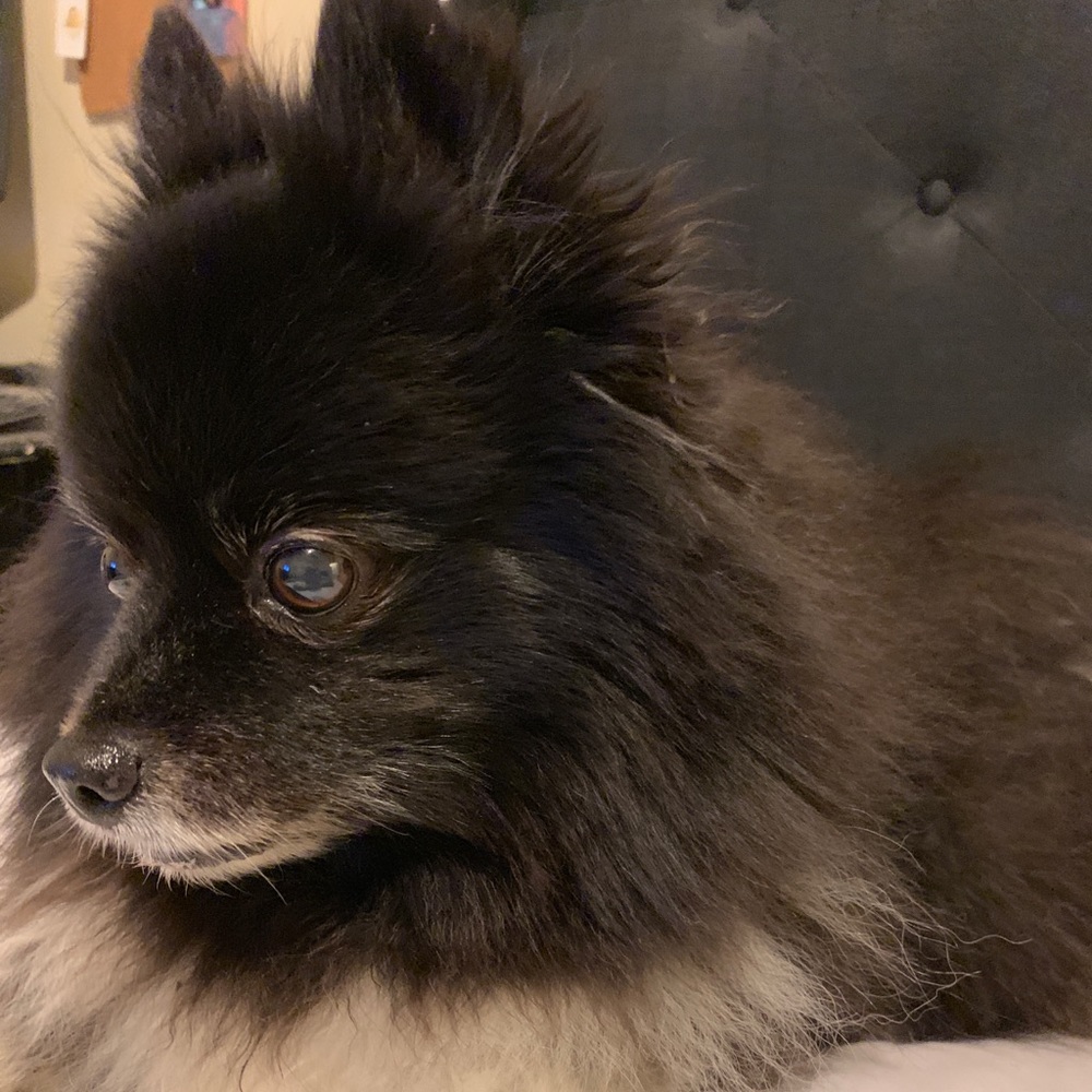 Meet your Posher, Nicole